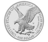 2024 American Eagle Silver Coin – 1 oz BU | Brilliant Uncirculated Bullion
